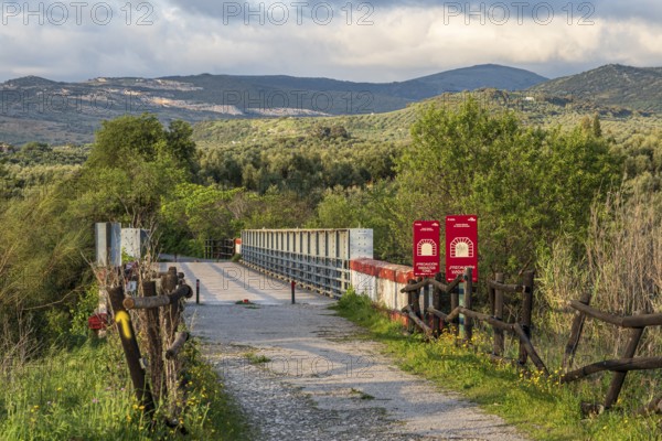 Cycle path Via Verde Del Aceite, cycle path on an old railroad line leading over a bridge, olive fields, near village Cabra, Andalusia, Spain