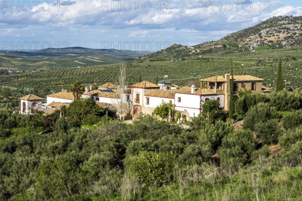 Large farm inmidst olive fields, Jaen region, near village Zuheros, Andalusia, Spain