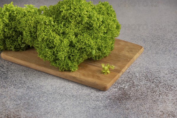 Green salad on a wooden board on a grey background