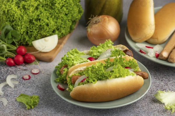 Hot dogs with lettuce, radish and onion on a plate surrounded by ingredients
