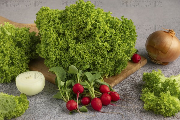 Fresh salad with radishes and onion on a board