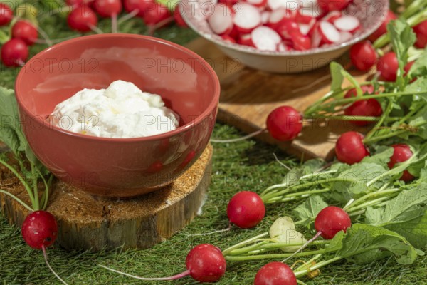 Red bowl with dip and sliced radishes on a green meadow