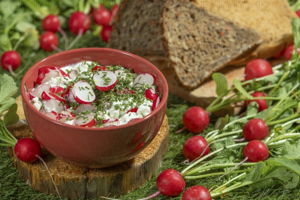 Cream cheese with radishes and herbs, next to slices of bread