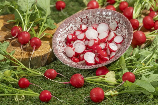 Bowl with sliced radishes on a green surface, surrounded by fresh radishes