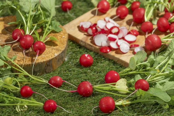 Fresh radishes, partly sliced, arranged on a wooden board on a green meadow