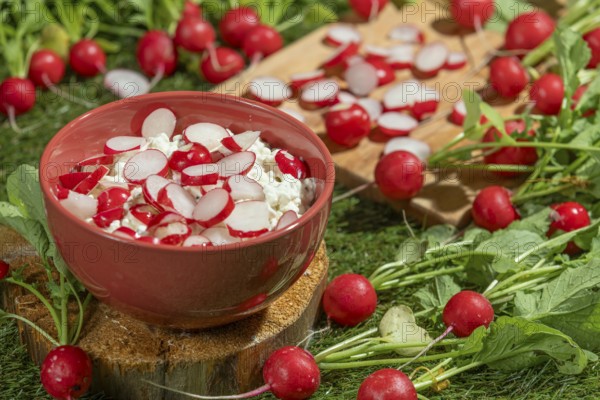 Bowl with cottage cheese and fresh radishes on a green meadow