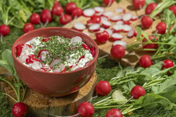 Bowl with cottage cheese, fresh radishes and herbs on a green meadow