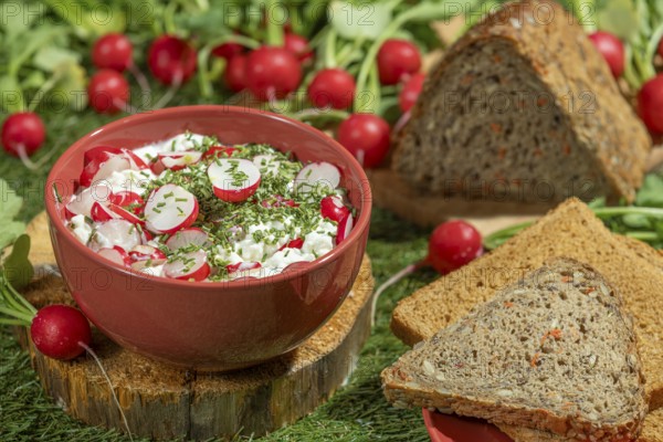 Bread next to a bowl of cream cheese, radishes and herbs on a green meadow