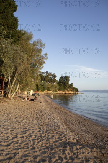 Kato Gatzea beach on the Pagasitic Gulf at sunset, Pelion or Pelion Peninsula, Magnisia, Thessaly, Greece