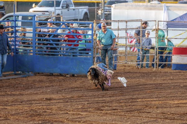 Young boy riding a sheep in a mutton busting event during the Hardin County Fair Rodeo in Savannah, Tennessee