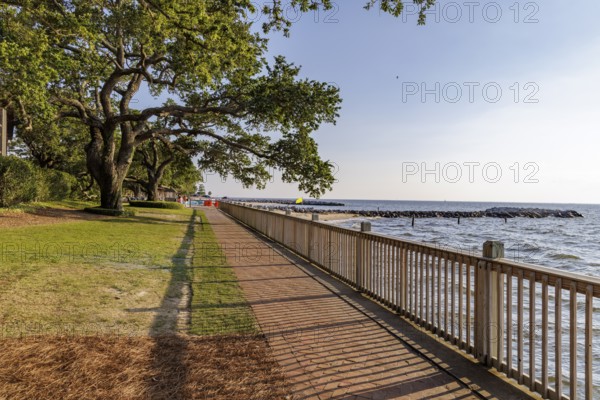 Walkway under Live Oak trees along the Gulf of Mexico coastline at Grand Hotel in Point Clear, Alabama