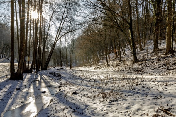 Snow-covered forest landscape with sunlight and shade, The Dragon Gorge near Eisenach in Thuringia