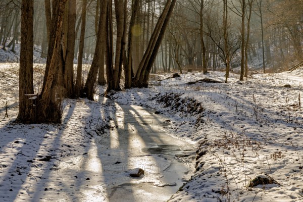 Snow-covered stream in the forest, illuminated by the sun's rays, The Dragon Gorge near Eisenach in Thuringia