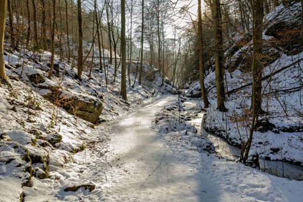 Snow-covered forest path with rays of sunshine and surrounding trees, The Dragon Gorge near Eisenach in Thuringia