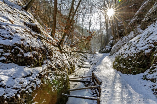 Snow-covered path in the forest with sunlight and trees, The Dragon Gorge near Eisenach in Thuringia