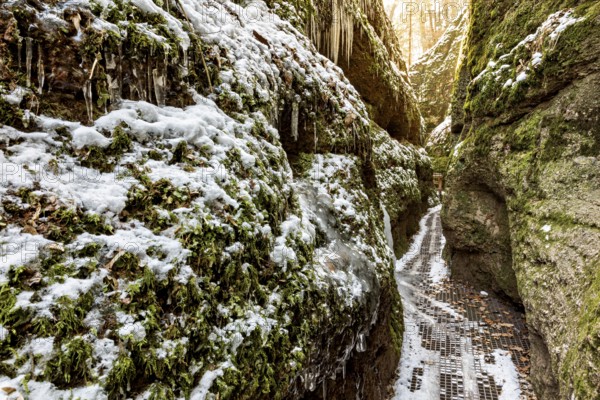Narrow, snow-covered gorge with moss-covered rocks in a tranquil winter setting, the Drachenschlucht gorge near Eisenach in Thuringia