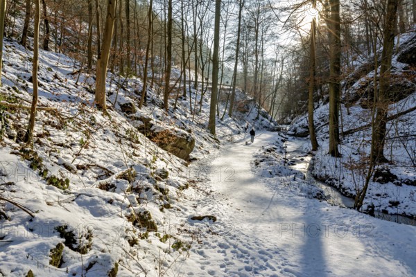 Forest path in the snow with a person, sunbeams in the background, The Dragon Gorge near Eisenach in Thuringia