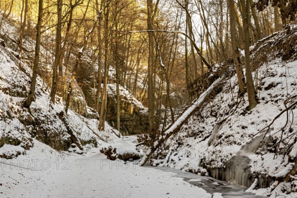 Frozen stream meanders through a snowy forest in warm sunset light, The Dragon Gorge near Eisenach in Thuringia
