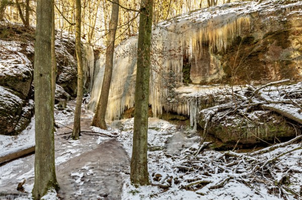 Frozen waterfall on a rock face in a snow-covered winter forest, surrounded by tall trees, The Dragon Gorge near Eisenach in Thuringia