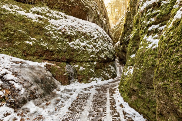 Snow-covered path between moss-covered rock faces in a quiet winter gorge, the Dragon Gorge near Eisenach in Thuringia