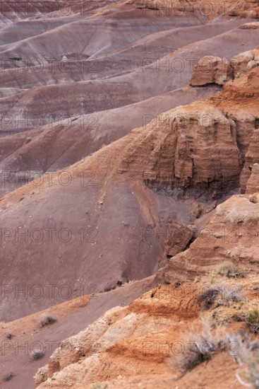 Colorful deposits of the Chinle Formation exposed at Little Painted Desert County Park near Winslow, Arizona