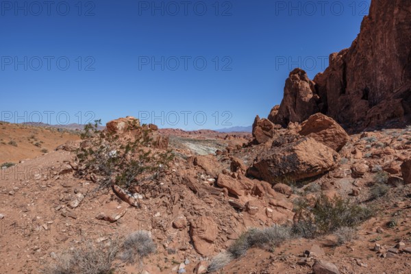 Sandstone rock formations along the Fire Wave Trail at Valley of Fire State Park near Overton, Nevada