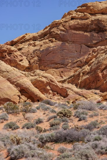 Rock formations along the Fire Canyon Overlook Trail at Valley of Fire State Park near Overton, Nevada