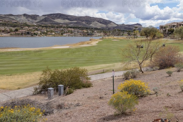 Colorful desert landscaping on a golf course along the shoreline of Las Vegas Wash at Lake Las Vegas in Henderson, Nevada, USA