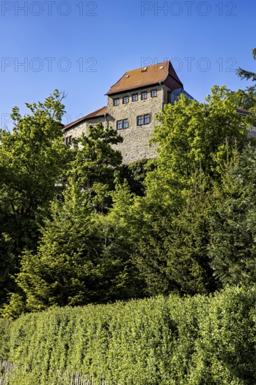 A historic castle rises above a dense forest landscape with a clear sky, Creuzburg Castle in Thuringia