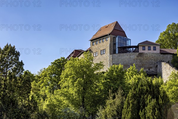 View of a castle tower rising above the dense treetops under a clear sky, The Creuzburg in Thuringia