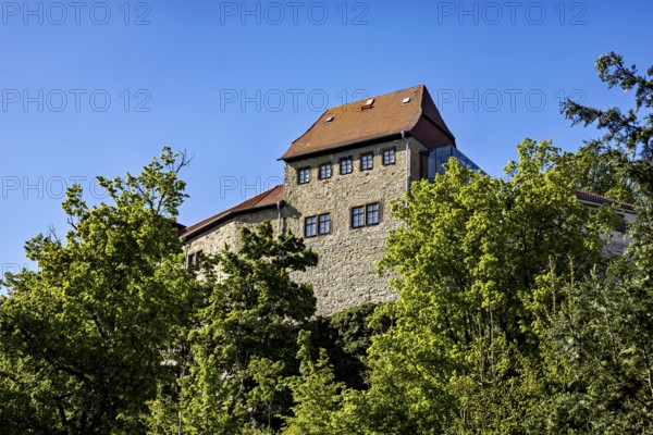 Part of the castle shows through trees, with massive stone walls under a clear sky, The Creuzburg in Thuringia