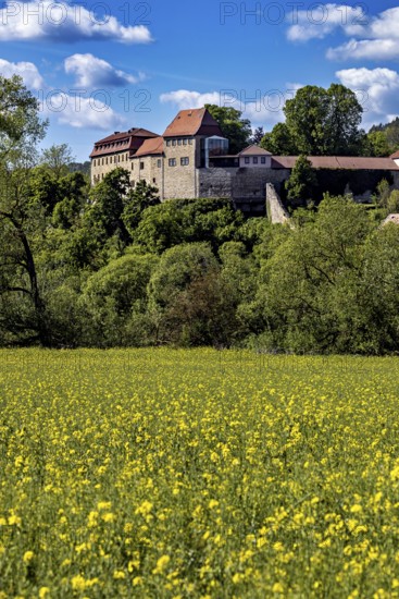 Majestic castle above a rapeseed field, surrounded by green nature under a blue sky, Creuzburg Castle in Thuringia