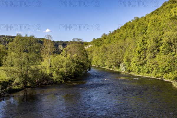 River in a green forest landscape under a clear blue sky, view from the historic Werra bridge over the Werra to the Ebenauköpfen near Creuzburg in Thuringia