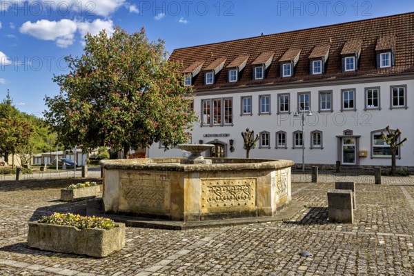 Fountain on a cobbled square in front of a historic building with a red roof and flowering tree, The market fountain of Creuzburg in Thuringia