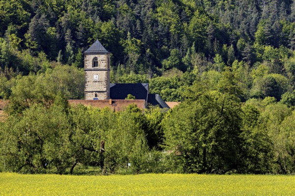 A church tower in front of a green forest, surrounded by numerous trees, The steeple of the Protestant church of Creuzburg in Thuringia