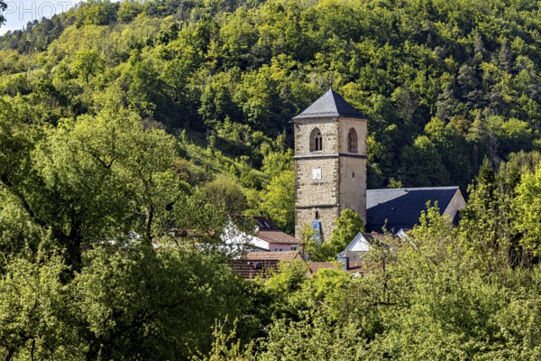 A church tower rises out of a dense forest, surrounded by green nature, the steeple of the Protestant church in Creuzburg in Thuringia