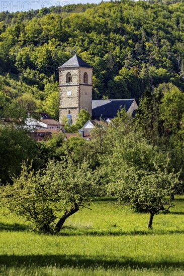 A church tower towers over trees and a meadow, embedded in nature, The church tower of the Protestant church of Creuzburg in Thuringia