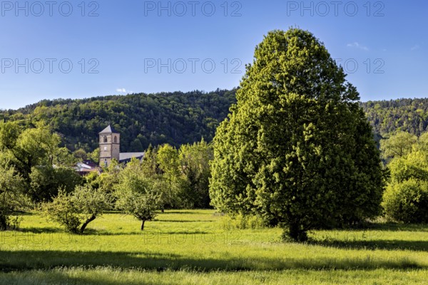 Church tower behind green trees and meadow in a rural, natural setting, The church tower of the Protestant church of Creuzburg in Thuringia