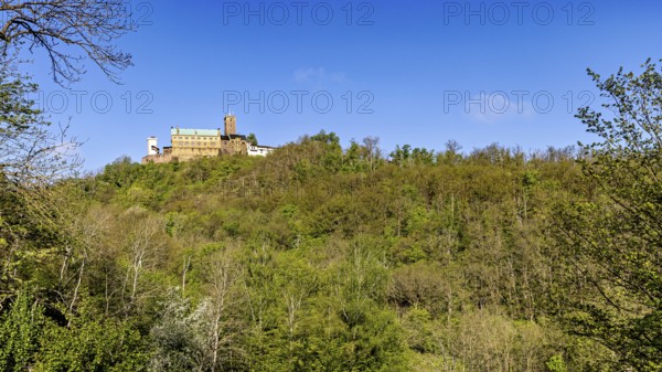 Wide view over wooded hill with castle in the background, The Wartburg near Eisenach in Thuringia