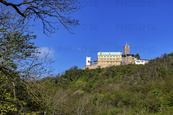 Castle enthroned on a wooded hill under a bright blue sky, Wartburg Castle near Eisenach in Thuringia