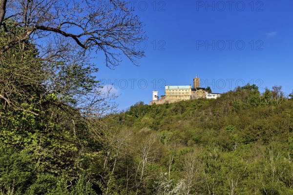 Castle overlooking dense forest, surrounded by blue sky, Wartburg Castle near Eisenach in Thuringia