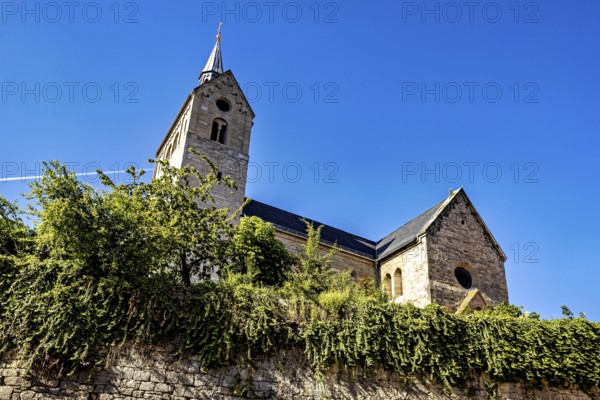 Historic church with striking stone architecture and vegetation in the foreground under a blue sky, The church of the town of Treffurt in Thuringia