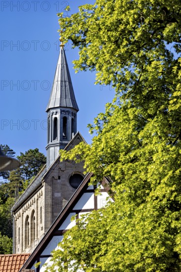 Top of a church with half-timbering and surrounding greenery against a clear sky, The church of the town of Treffurt in Thuringia