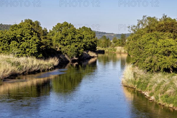 A quiet river, lined with dense trees, stretches through a peaceful landscape, Normannstein Castle near Treffurt in Thuringia