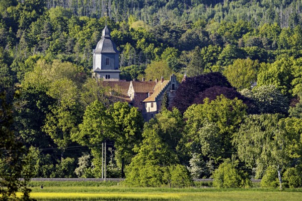 A church in the middle of a dense forest on a sunny day, The church tower of the castle church of Herleshausen in Hesse
