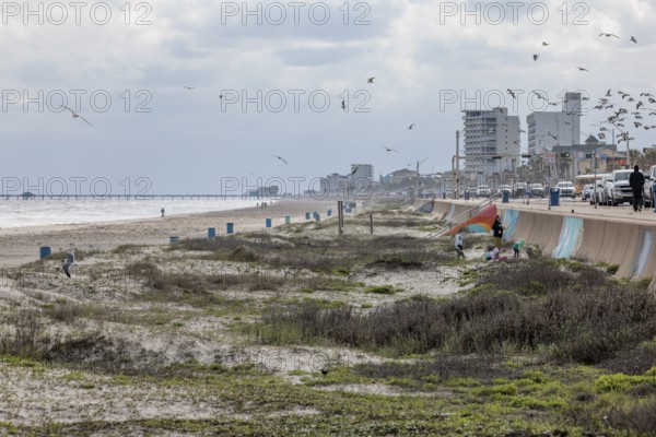 Sand beach and seawall along the Texas Gulf Coast at Galveston, Texas