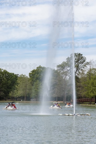 Young families piloting pedal boats around the fountain on Lake McGovern at Hermann Park in downtown Houston, Texas