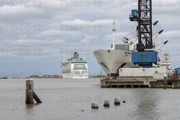 Royal Caribbean Adventure of the Seas cruise ship and a cargo ship at the Port of Glaveston, Texas