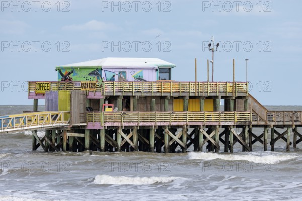 Pelicans and the Shark bar at the 61st Street Fishing Pier on the Texas Gulf Coast at Galveston, Texas