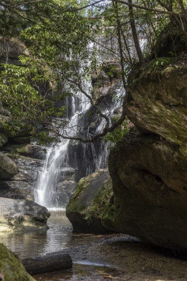 Waterfall along a hiking trail through Dismals Canyon near Phil Campbell, Alabama, USA